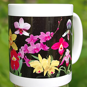 mug DS-024 Orchids Galore 7045.jpg
